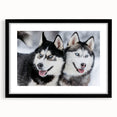 Black-framed wall art featuring a collection of vibrant dog illustrations in a wild life theme, showcasing playful poses and colors, ideal for pet lovers' decor.