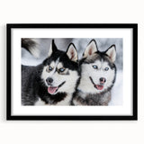 Black-framed wall art featuring a collection of vibrant dog illustrations in a wild life theme, showcasing playful poses and colors, ideal for pet lovers' decor.