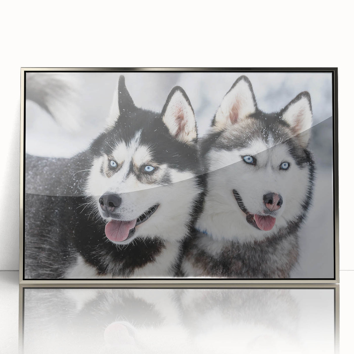 Framed wall art collection showcasing a dog-themed design with vibrant colors and intricate details, set in a sleek silver frame for a modern touch.