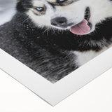 Vibrant rolled canvas art depicting playful dogs in a wild-life setting, showcasing rich colors and intricate details, perfect for animal lovers' home decor.