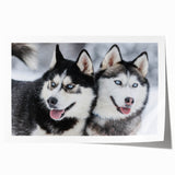 Vibrant wall art print showcasing a playful dog design in a wild life theme, featuring bold colors and dynamic patterns, perfect for animal lovers and home decor.