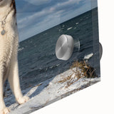 Close-up of a vibrant acrylic wall art piece showcasing a wild dog design, featuring rich colors and intricate details, perfect for animal lovers and home decor enthusiasts.