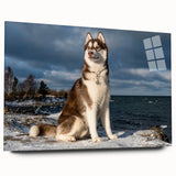 Acrylic wall art design featuring playful dogs in a vibrant wild-life theme, showcased from the side to highlight its sleek finish and modern aesthetic. Perfect for animal lovers and home decor enthusiasts.