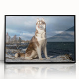 Framed acrylic wall art featuring a striking dog design from the 'Animals A Wild Life' collection, showcasing vibrant colors and a sleek black frame, perfect for enhancing home decor.