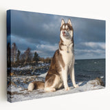 Canvas wall art showcasing a vibrant design of various dogs in a wild-life setting, displayed in a side view, perfect for animal lovers and home decor enthusiasts.