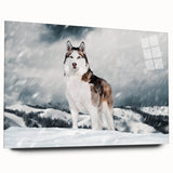 Acrylic glass wall art collection featuring a vibrant dog design, showcasing a side view without pins, perfect for animal lovers and modern home decor.
