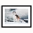 Framed wall art collection featuring a striking design of various dog breeds in vibrant colors, set against a black mat, perfect for animal lovers seeking stylish home decor.