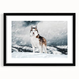 Framed wall art collection featuring a striking design of various dog breeds in vibrant colors, set against a black mat, perfect for animal lovers seeking stylish home decor.