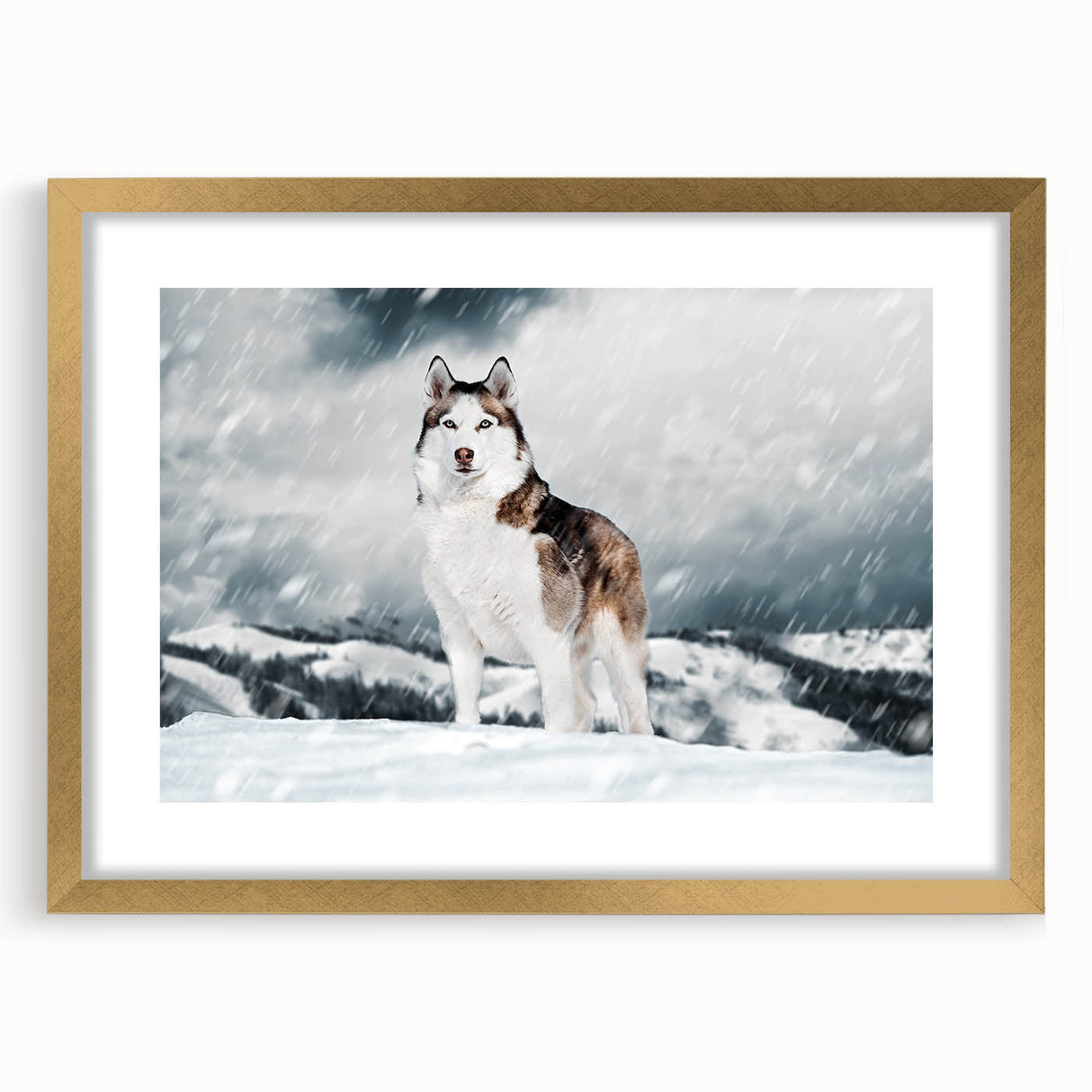 Framed wall art collection showcasing a beautiful dog design, featuring a gold mat and elegant frame, perfect for animal lovers and home decor enthusiasts.