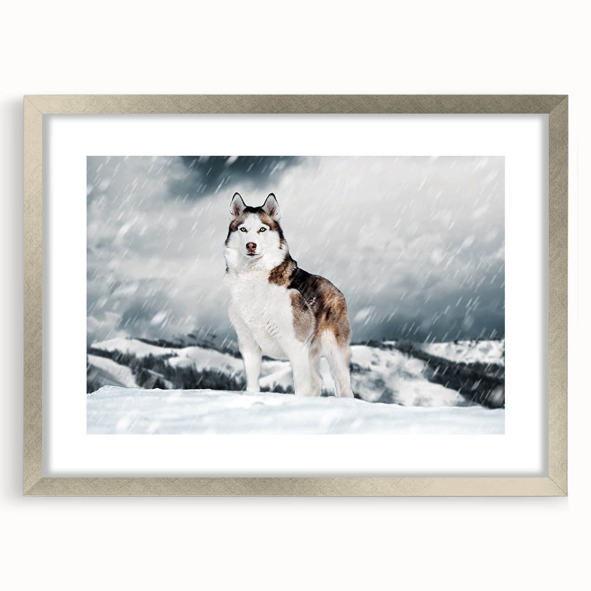 Framed wall art collection featuring a stylish design of dogs in vibrant colors, set in a silver frame with a mat for an elegant presentation. Perfect for animal lovers.