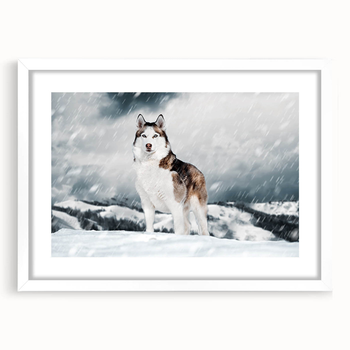 Framed wall art collection featuring a playful design of wild dogs, displayed with a white mat and frame, perfect for animal lovers and home decor enthusiasts.