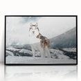 Framed wall art collection showcasing a vibrant design of wild dogs, featuring a sleek black frame and glossy acrylic finish, perfect for animal lovers and home decor enthusiasts.