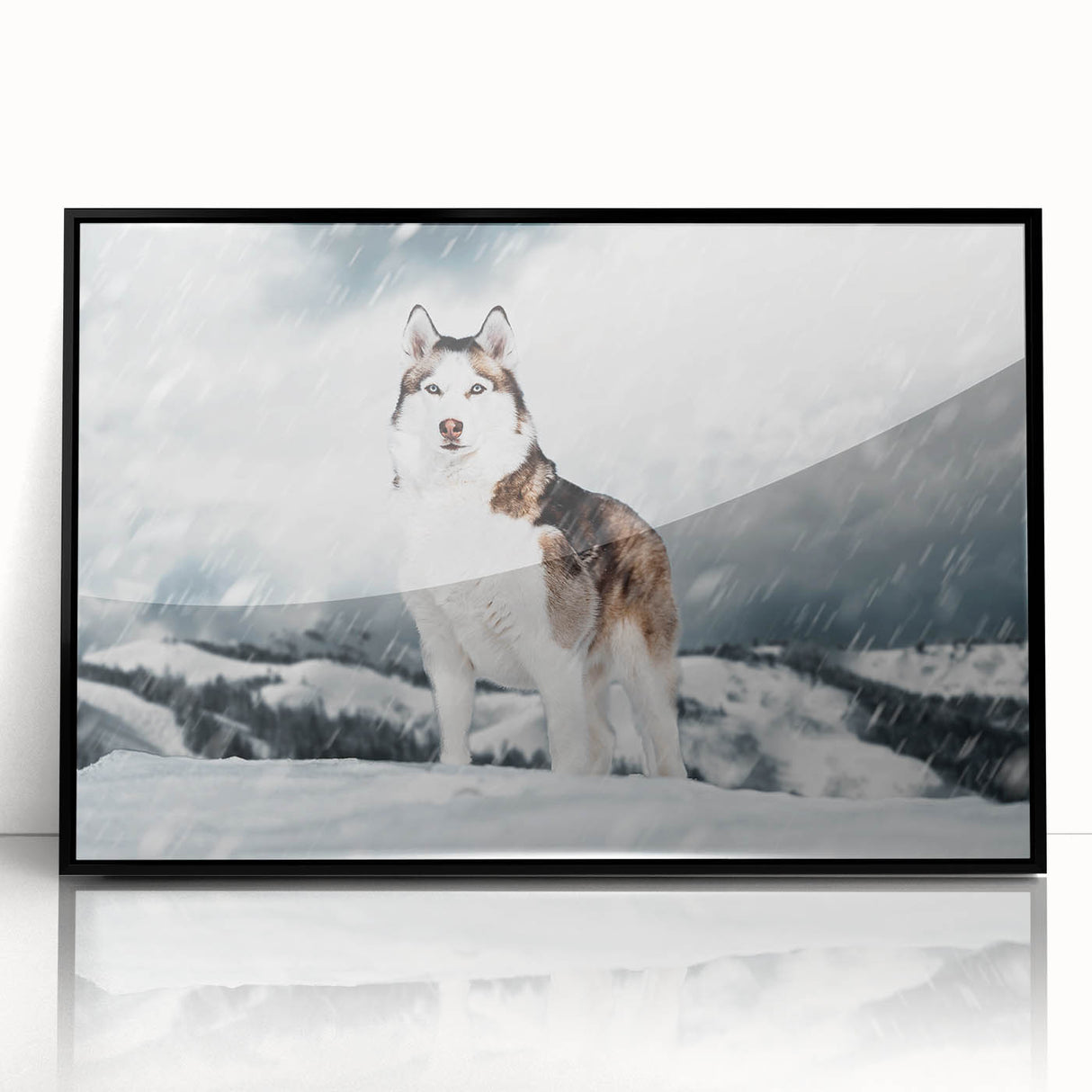 Framed wall art collection showcasing a vibrant design of wild dogs, featuring a sleek black frame and glossy acrylic finish, perfect for animal lovers and home decor enthusiasts.