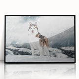 Framed wall art collection showcasing a vibrant design of wild dogs, featuring a sleek black frame and glossy acrylic finish, perfect for animal lovers and home decor enthusiasts.