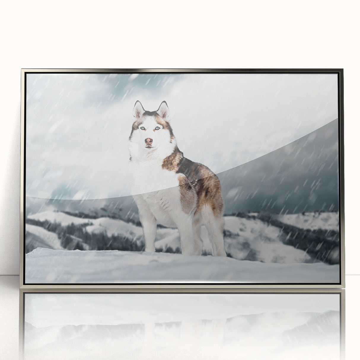 Framed wall art featuring a modern design of playful dogs in a wild life theme, showcased in a sleek silver frame, perfect for animal lovers’ decor.