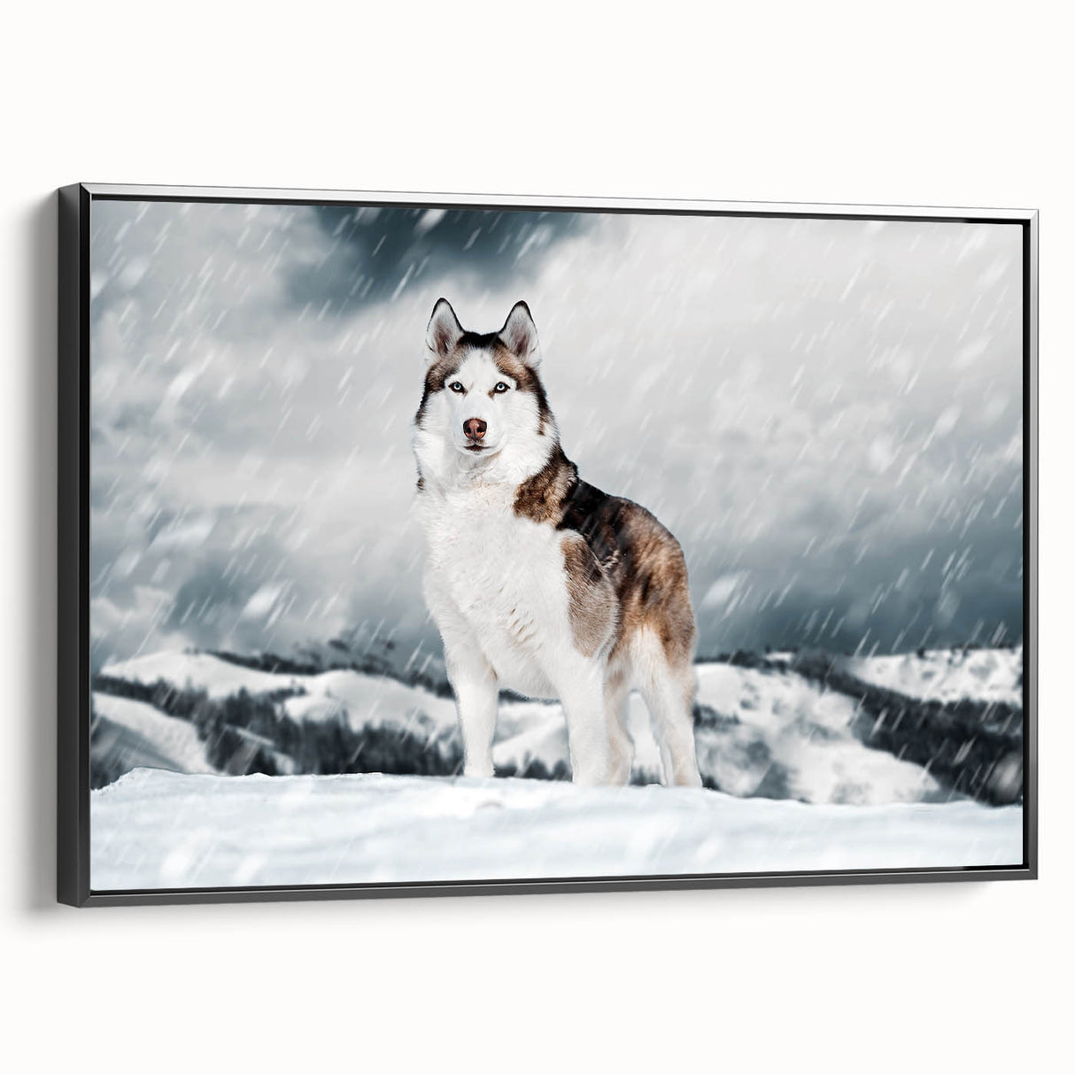 Framed canvas wall art depicting a vibrant collection of wild dogs in a natural setting, showcasing detailed textures and colors, perfect for animal lovers.