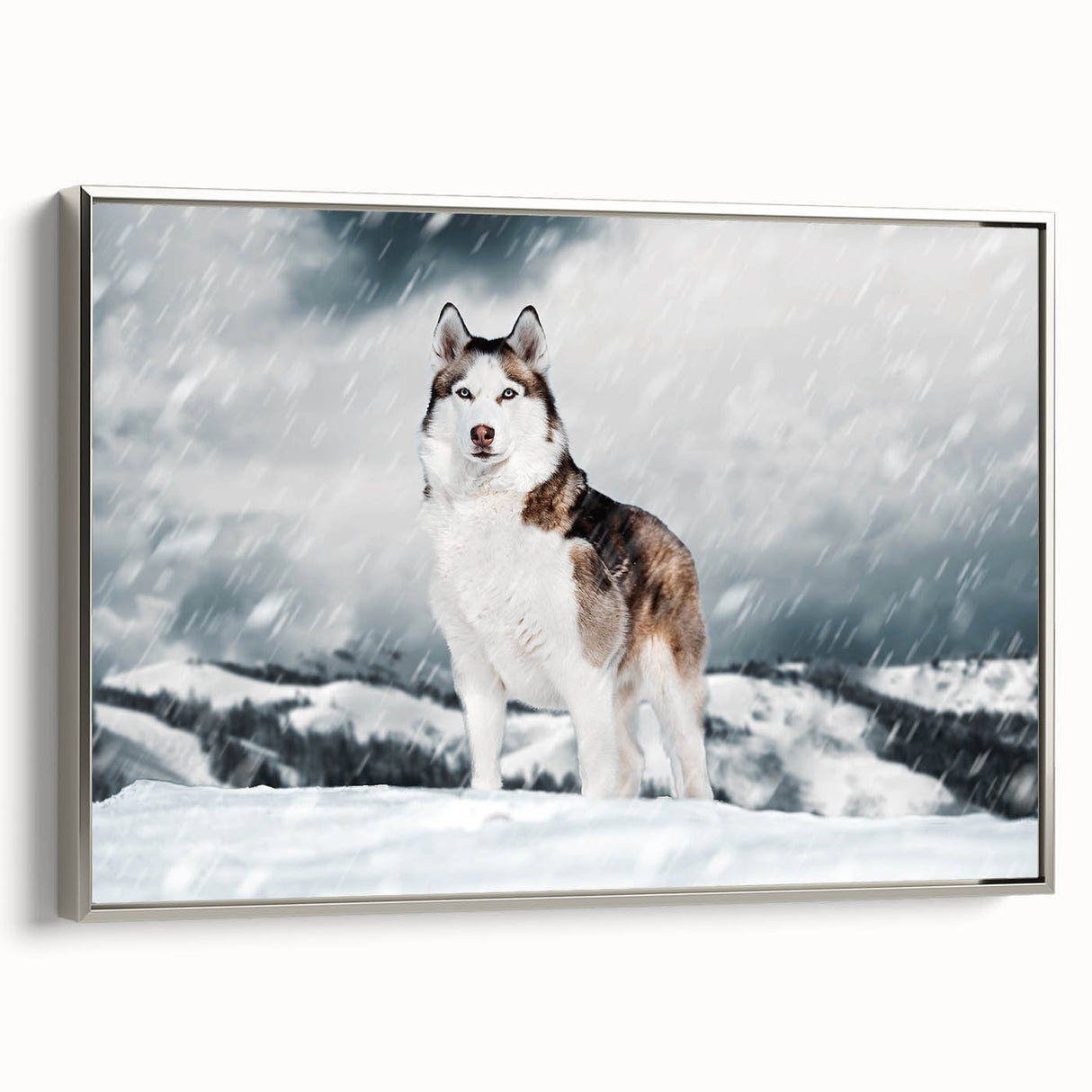 Framed canvas wall art featuring a vibrant design of various dog breeds against a silver background, showcasing intricate details and colors, perfect for animal lovers.
