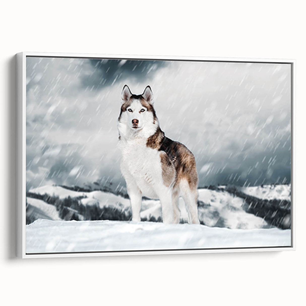 Framed wall art collection showcasing a vibrant design of wild dogs in a natural setting, featuring rich colors and detailed textures, perfect for animal lovers.