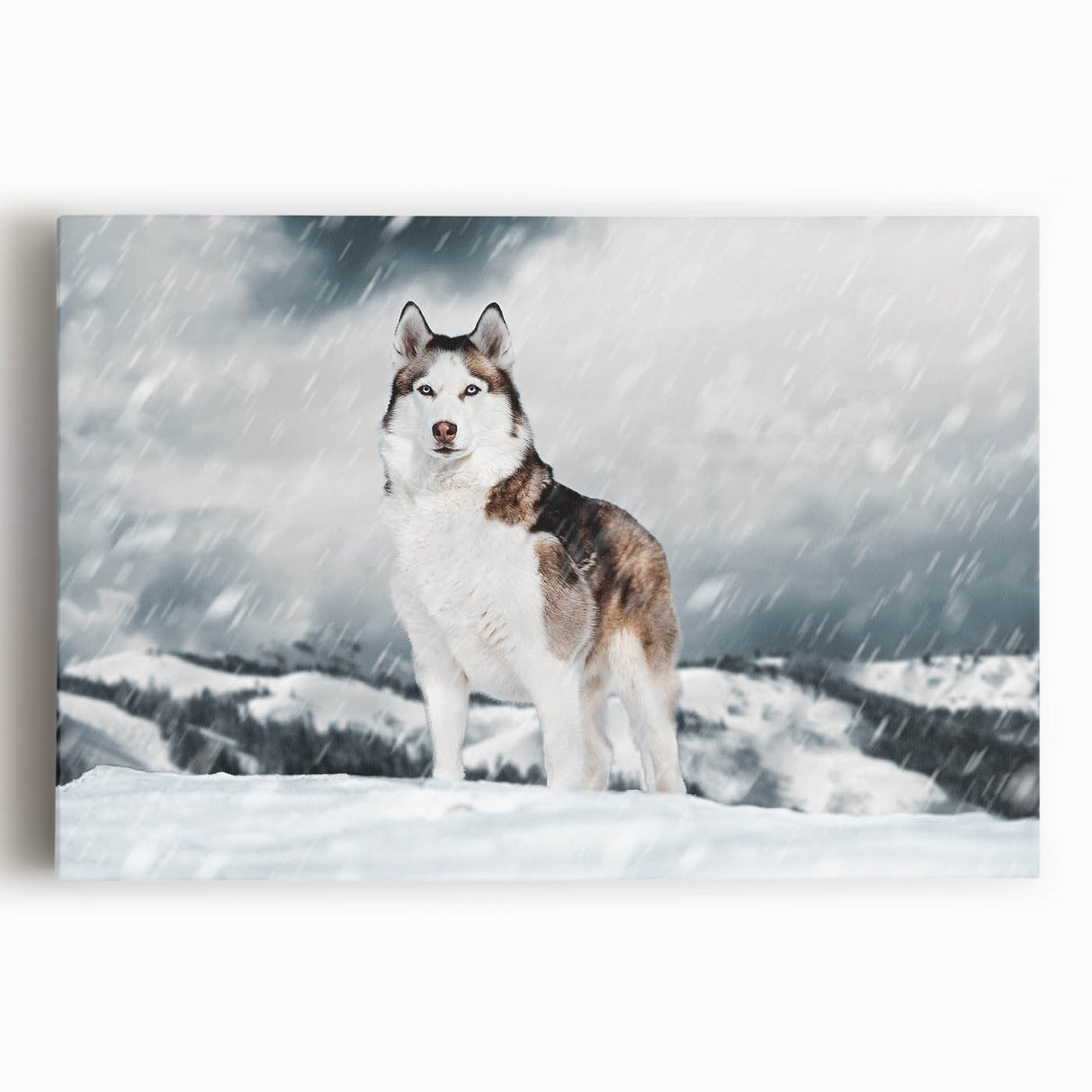 Vibrant stretched canvas wall art showcasing a playful dog design, perfect for animal lovers, featuring bright colors and intricate details in a contemporary style.