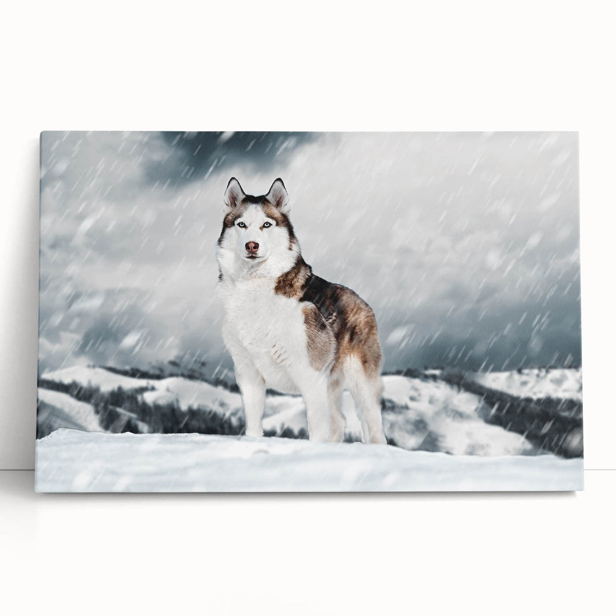 Colorful stretched canvas wall art showcasing a playful dog design, featuring vibrant hues and a whimsical style, perfect for animal lovers' home decor.