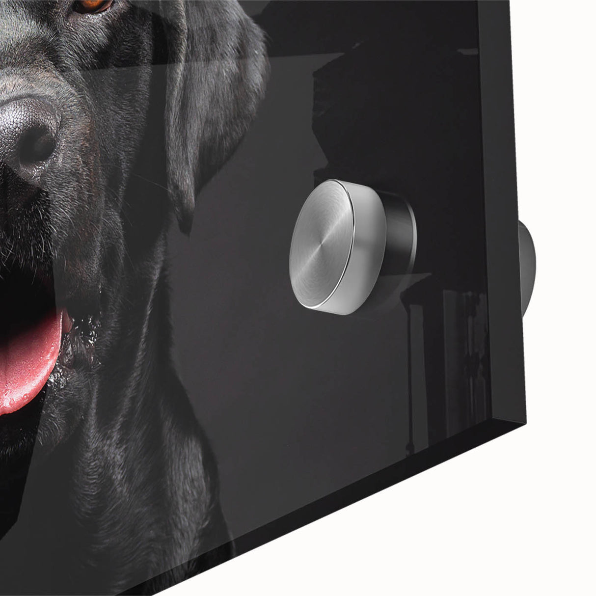 Close-up of a vibrant acrylic wall art piece featuring a colorful dog design, showcasing intricate details and textures, perfect for animal lovers' decor.