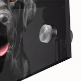 Close-up of a vibrant acrylic wall art piece featuring a colorful dog design, showcasing intricate details and textures, perfect for animal lovers' decor.