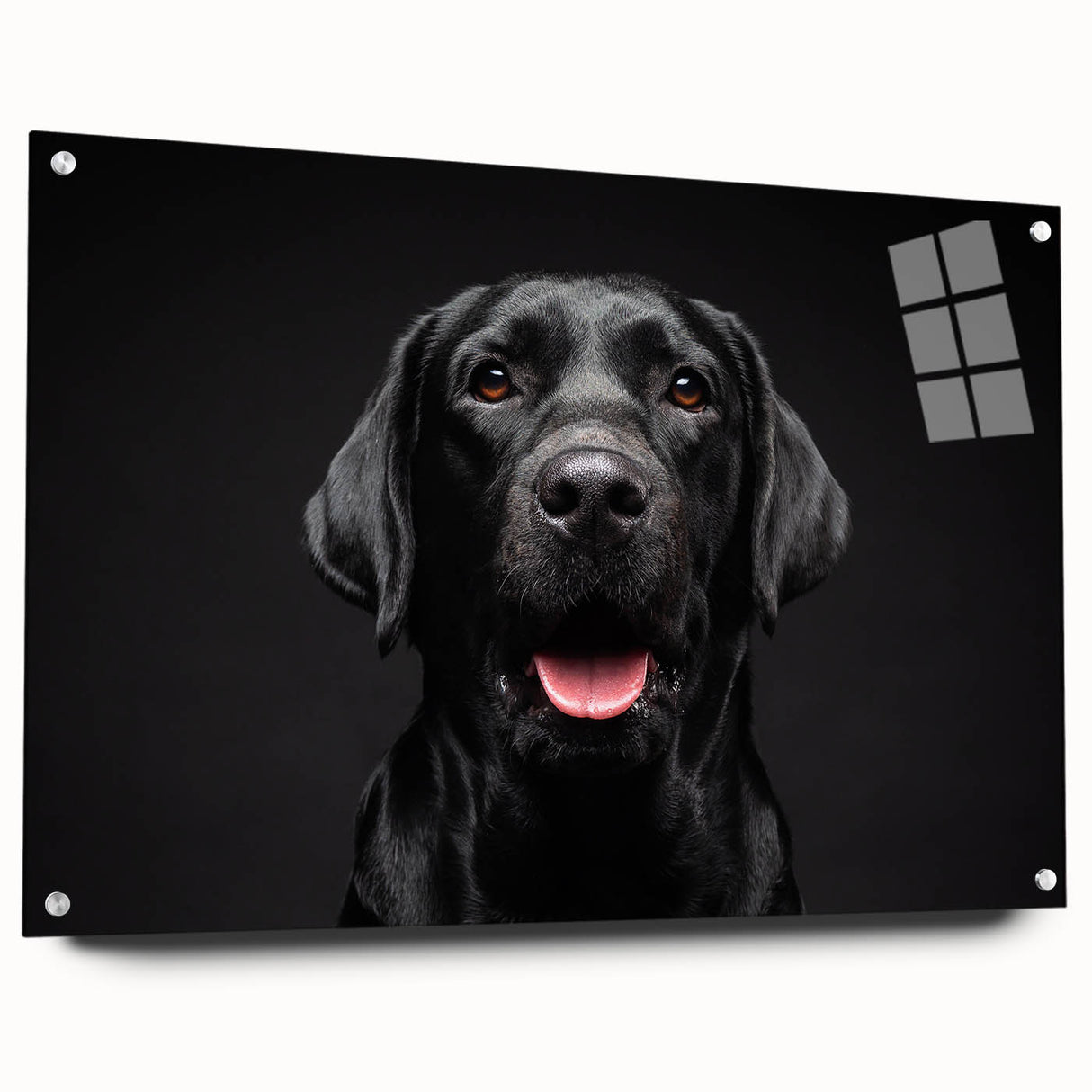 Acrylic wall art featuring a vibrant, colorful design of various dog breeds, showcased from a side view with visible pins, ideal for pet lovers' home decor.