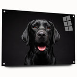 Acrylic wall art featuring a vibrant, colorful design of various dog breeds, showcased from a side view with visible pins, ideal for pet lovers' home decor.