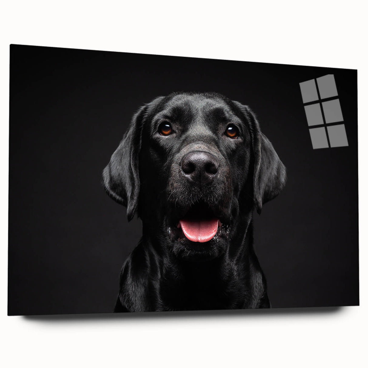 Acrylic glass wall art featuring a vibrant design of various dog breeds in a wild life theme, displayed from a side view without pins. Perfect for animal lovers.