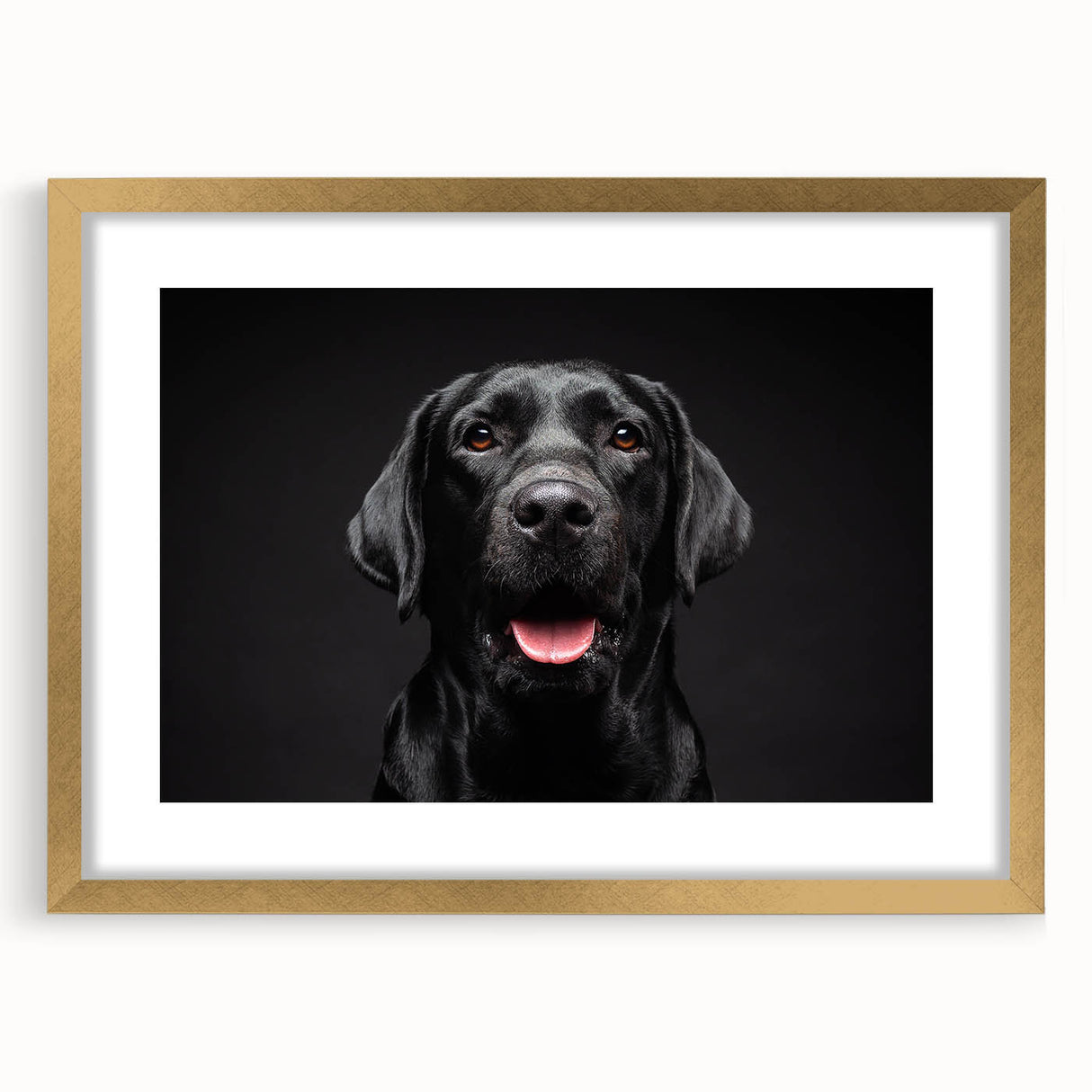 Framed wall art featuring a vibrant dog design from the "Animals: A Wild Life" collection, set in a stylish gold frame with a white mat, perfect for home decor.