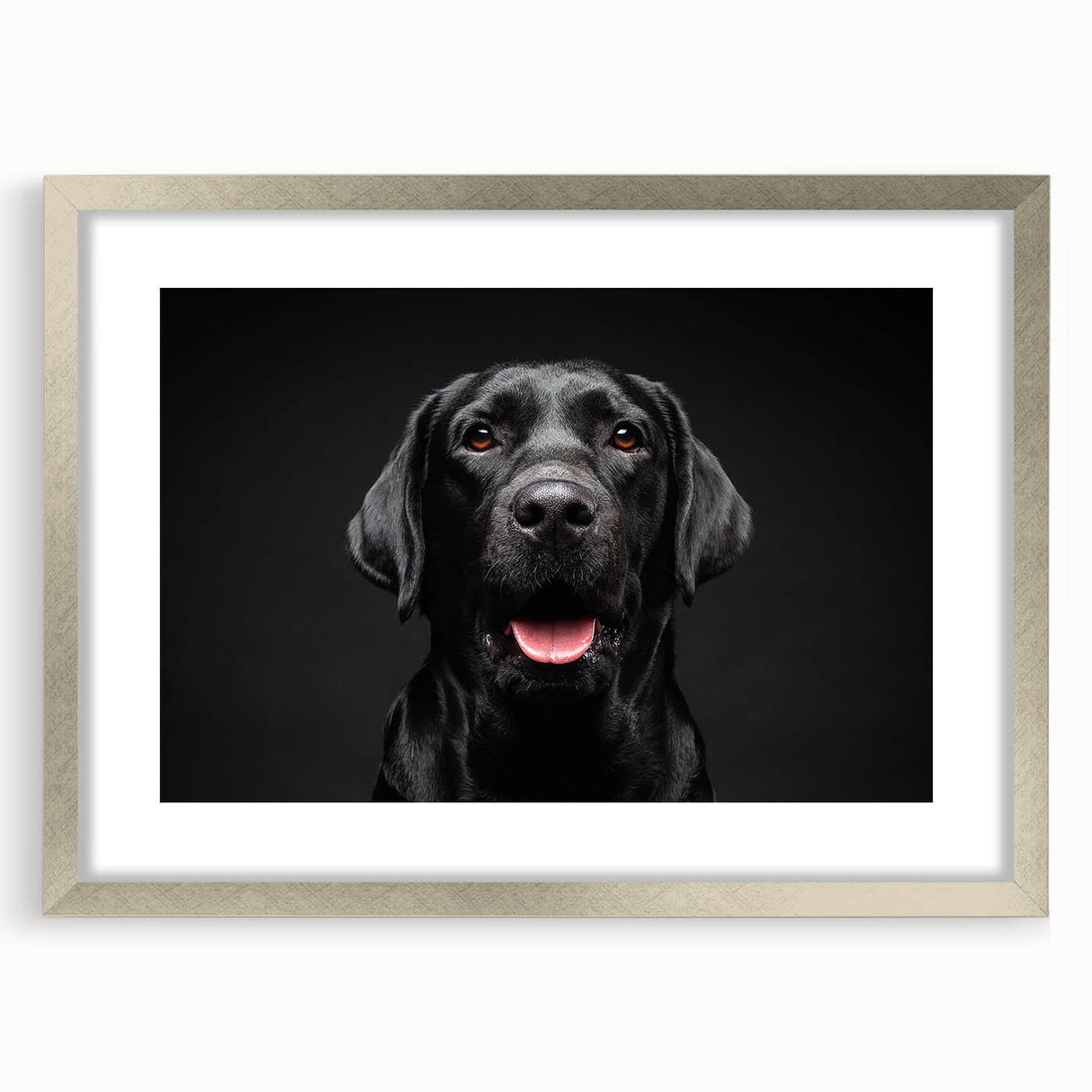Framed wall art featuring a striking design of wild dogs, showcased in a stylish silver frame with a mat. Perfect for animal lovers and home decor enthusiasts.