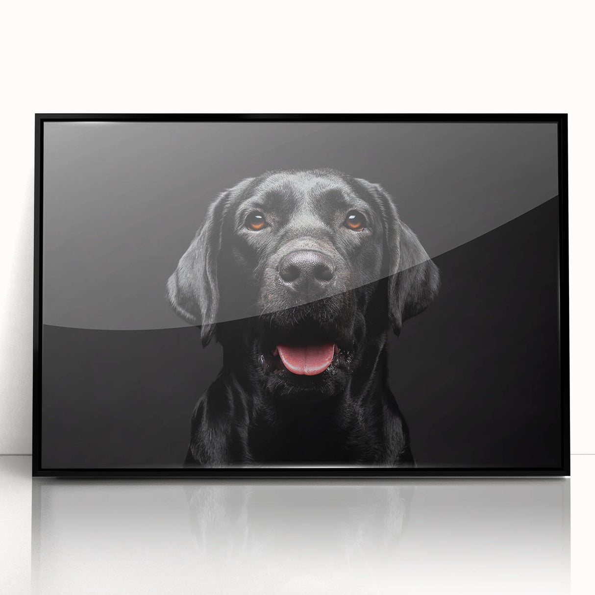 Framed acrylic wall art featuring a stylish dog illustration from the "Animals: A Wild Life" collection. The black frame enhances the vibrant colors, perfect for pet lovers seeking modern decor.