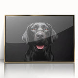 Framed wall art featuring a vibrant design of various dog breeds in a wild-life theme, with a gold-acrylic front, ideal for animal lovers' home decor.