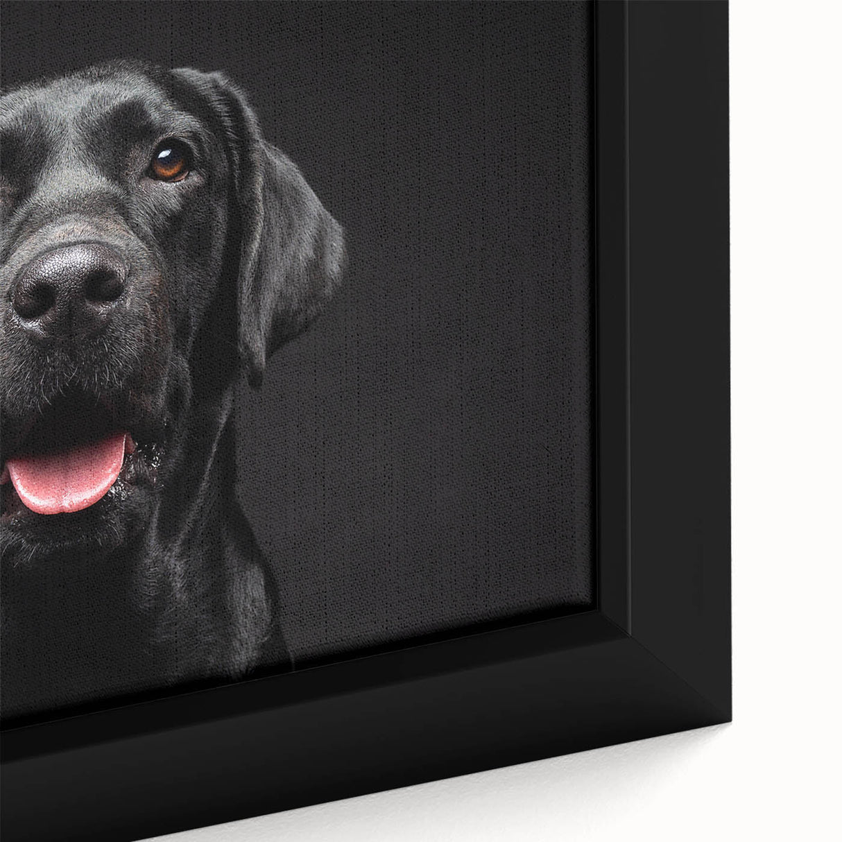 Framed canvas wall art showcasing a vibrant close-up of a playful dog design, featuring rich colors and intricate details, ideal for animal lovers' home decor.