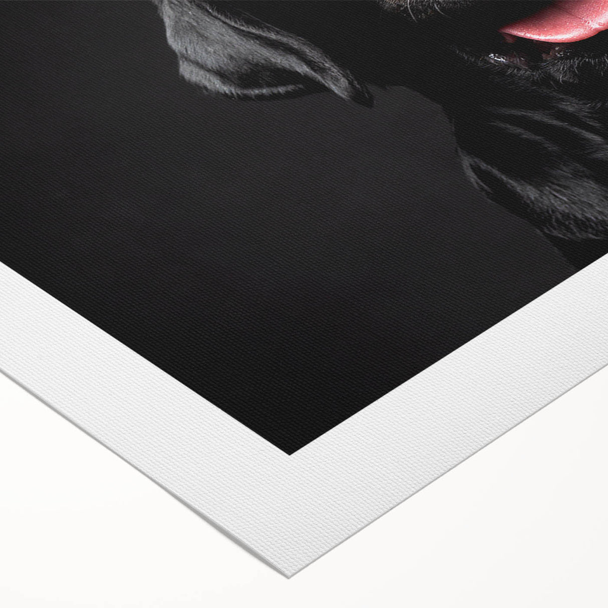 Rolled canvas showcasing a vibrant dog-themed wall art design, featuring playful colors and intricate details, ideal for pet lovers’ home decor.