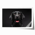 Vibrant wall art print featuring a playful design of various dog breeds in a lively, colorful setting, perfect for animal lovers and home decor enthusiasts.
