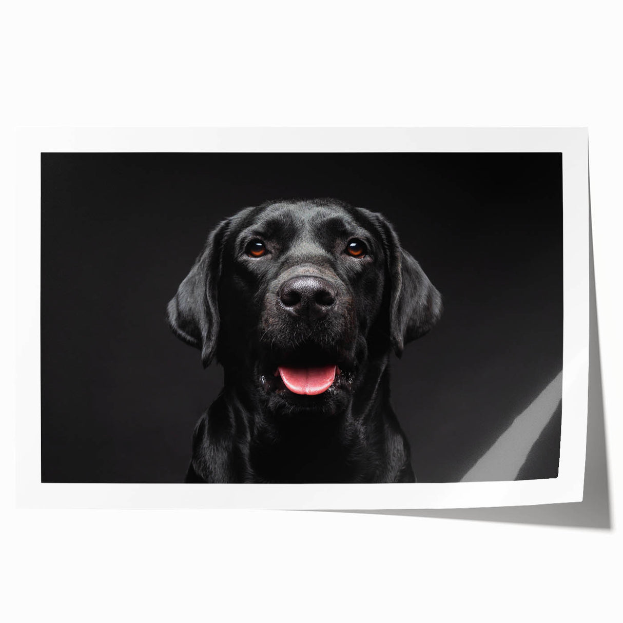Vibrant wall art print featuring a playful design of various dog breeds in a lively, colorful setting, perfect for animal lovers and home decor enthusiasts.