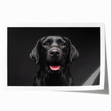 Vibrant wall art print featuring a playful design of various dog breeds in a lively, colorful setting, perfect for animal lovers and home decor enthusiasts.