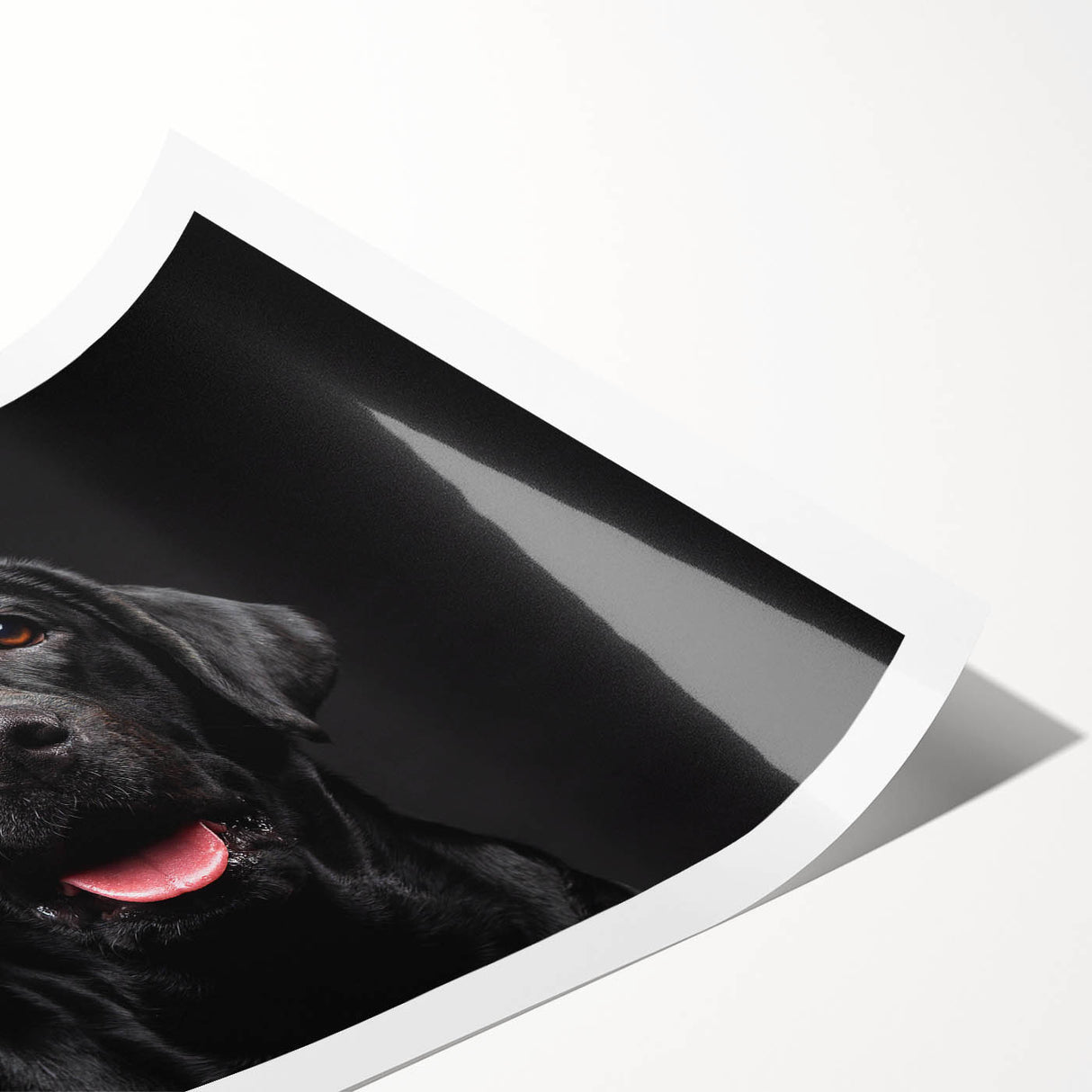 Rolled print of vibrant dog-themed wall art showcasing playful canines in various poses, ideal for animal lovers, featuring bright colors and intricate details.