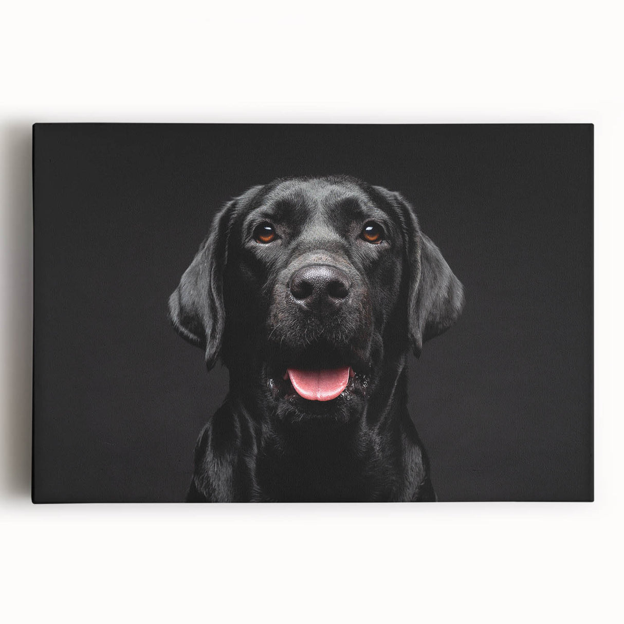 Stretched canvas wall art showcasing a vibrant, detailed design of playful dogs in a wild setting, ideal for animal lovers and home decor enthusiasts.