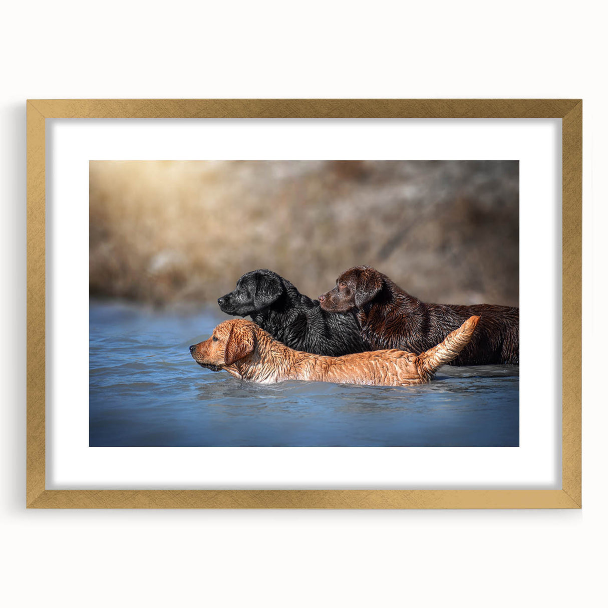 Framed wall art featuring a golden mat border showcasing a vibrant design of wild dogs against a textured background, perfect for animal lovers' decor.