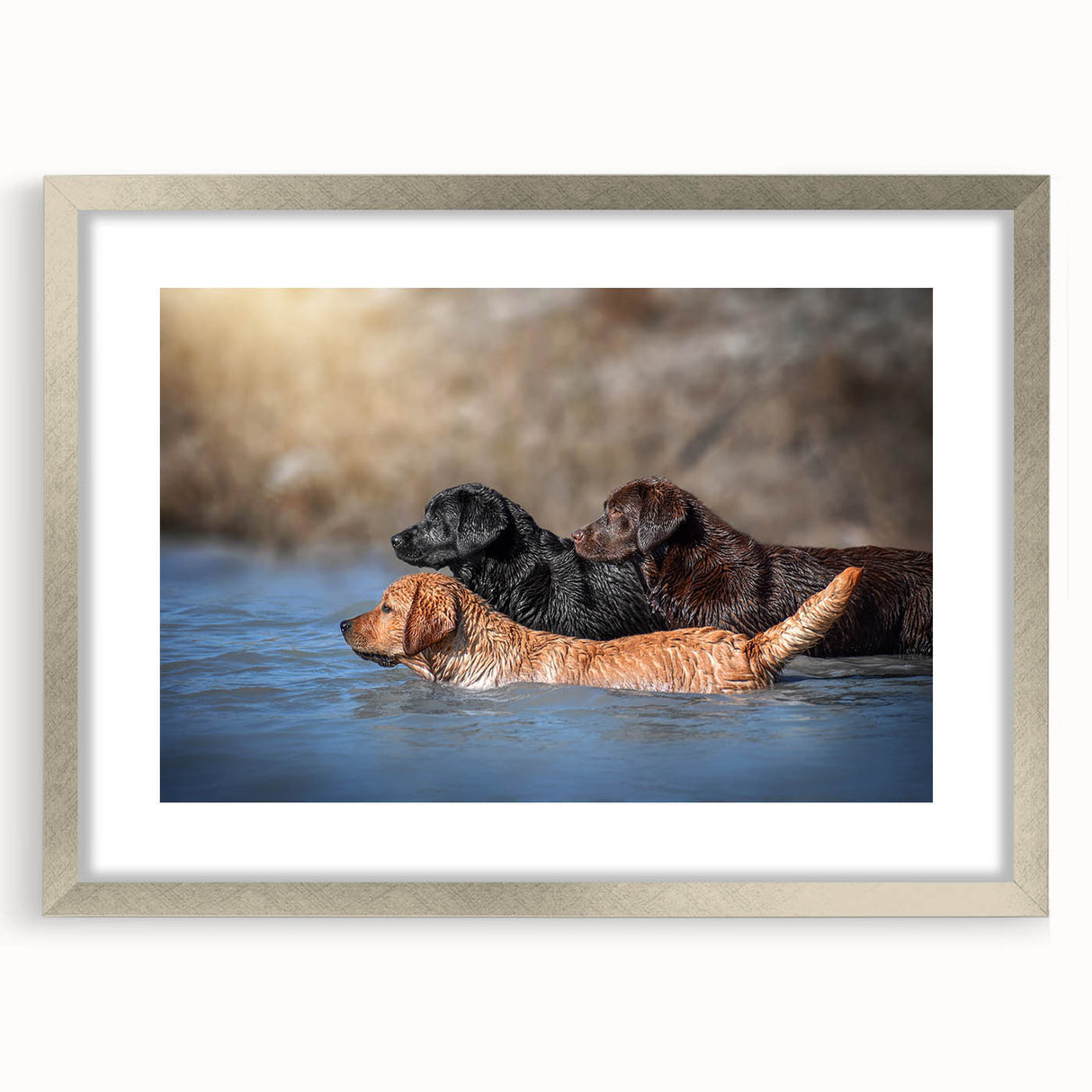 Framed wall art collection featuring a sleek silver frame and mat, showcasing a vibrant dog design that captures the essence of wildlife, perfect for pet lovers' decor.