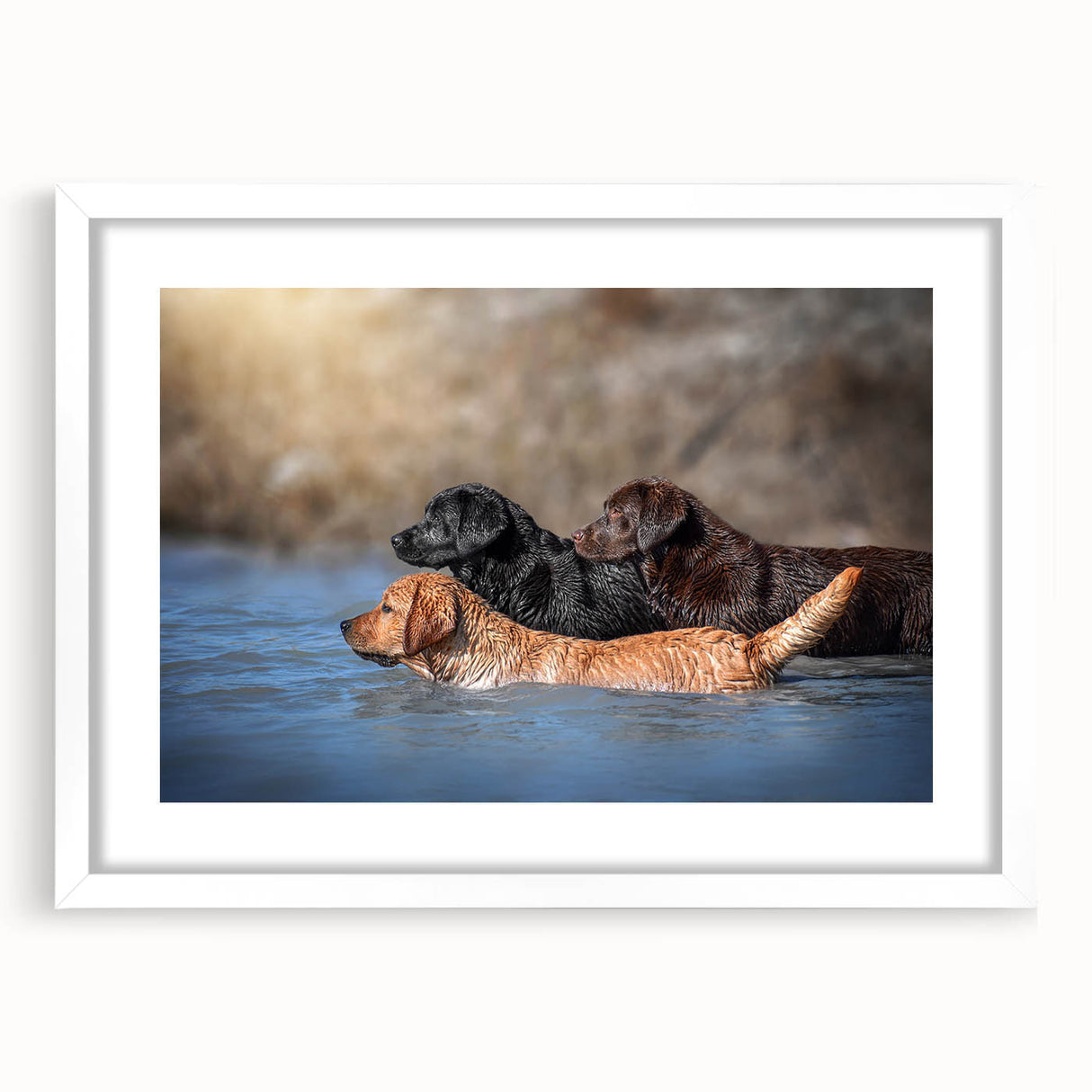 Framed wall art featuring a whimsical dog design on a white background, showcasing vibrant colors and playful illustrations, perfect for animal lovers and home decor.