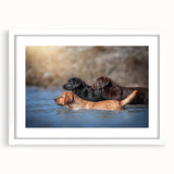 Framed wall art featuring a whimsical dog design on a white background, showcasing vibrant colors and playful illustrations, perfect for animal lovers and home decor.
