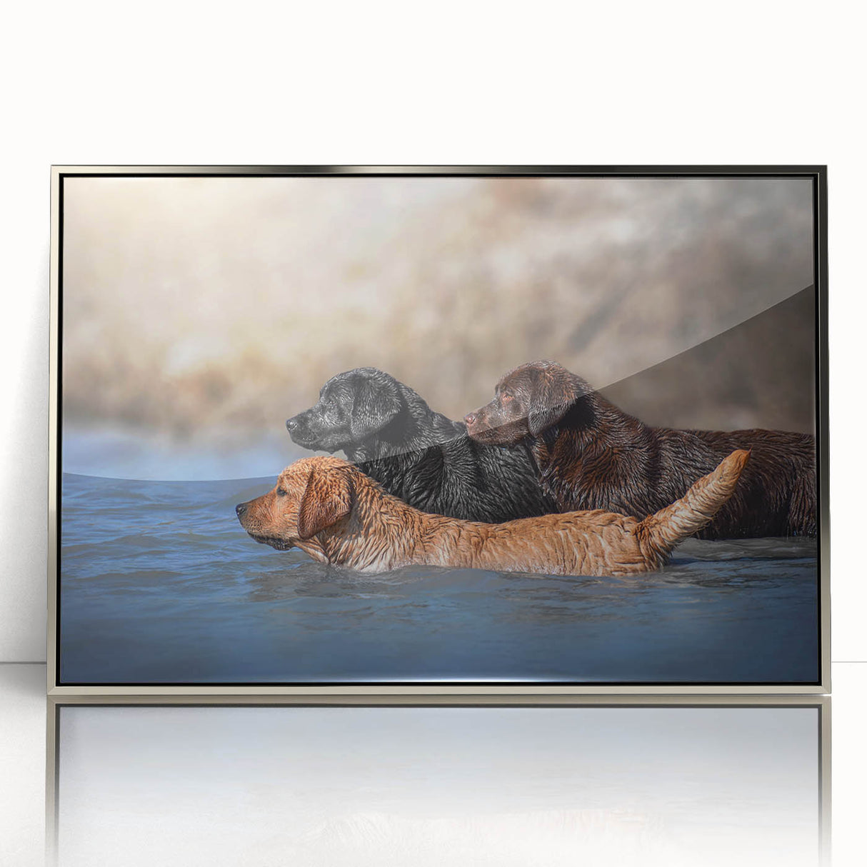 Framed acrylic wall art featuring a striking design of wild dogs in a natural setting, showcasing vibrant colors and intricate details, perfect for animal lovers.