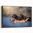 Framed canvas wall art showcasing an artistic depiction of wild dogs, featuring vibrant colors and a black frame, perfect for enhancing home decor.
