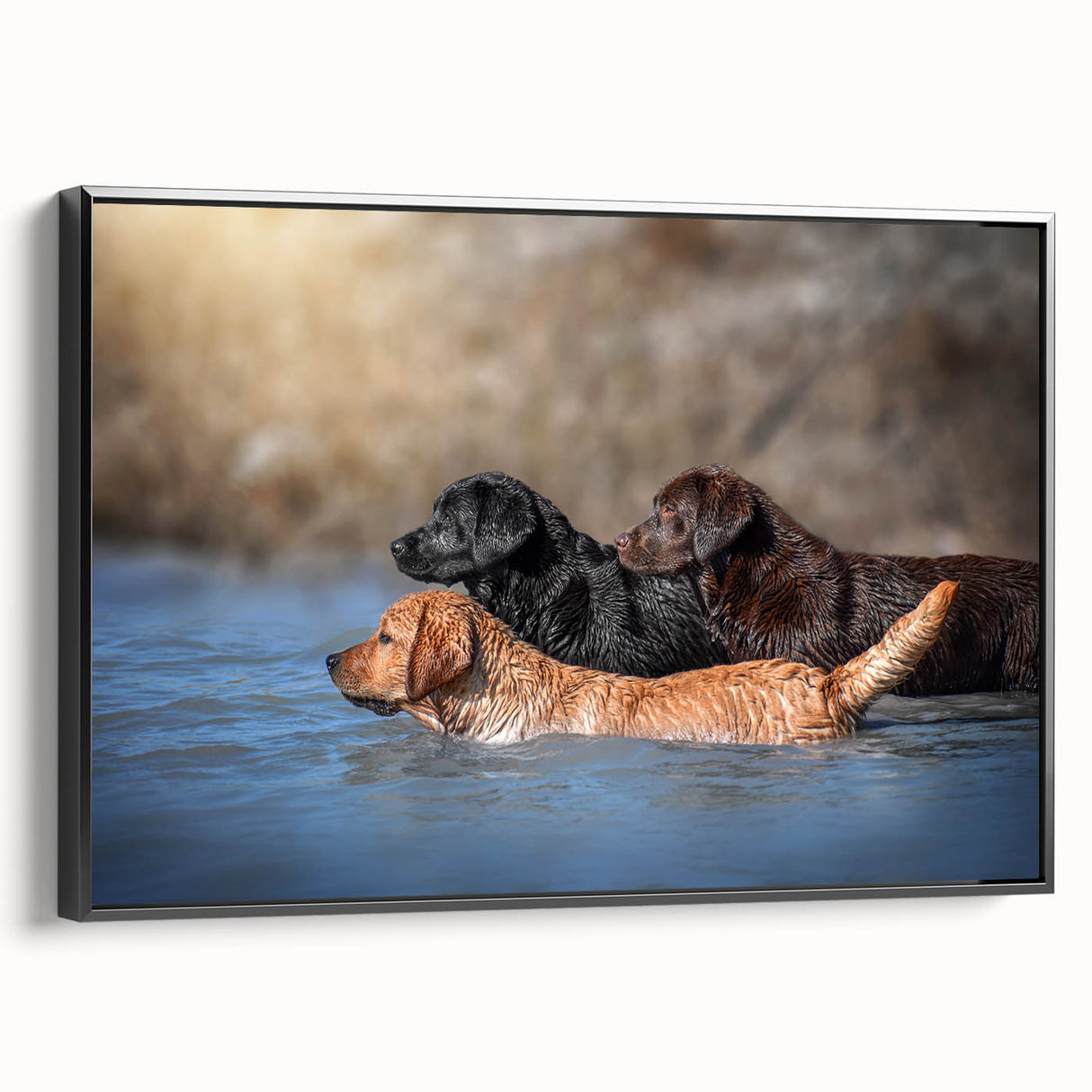 Framed canvas wall art showcasing an artistic depiction of wild dogs, featuring vibrant colors and a black frame, perfect for enhancing home decor.