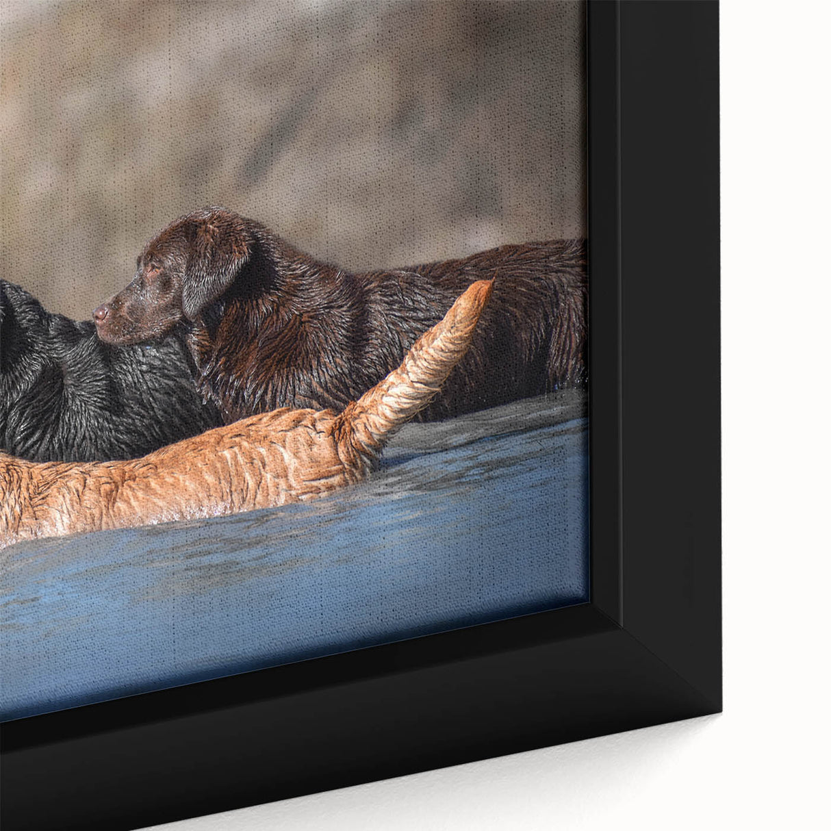 Framed wall art featuring a close-up of a vibrant dog design from the Animals A Wild Life collection, showcasing detailed colors and textures in a modern home setting. Perfect for pet lovers and contemporary decor enthusiasts.