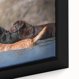 Framed wall art featuring a close-up of a vibrant dog design from the Animals A Wild Life collection, showcasing detailed colors and textures in a modern home setting. Perfect for pet lovers and contemporary decor enthusiasts.