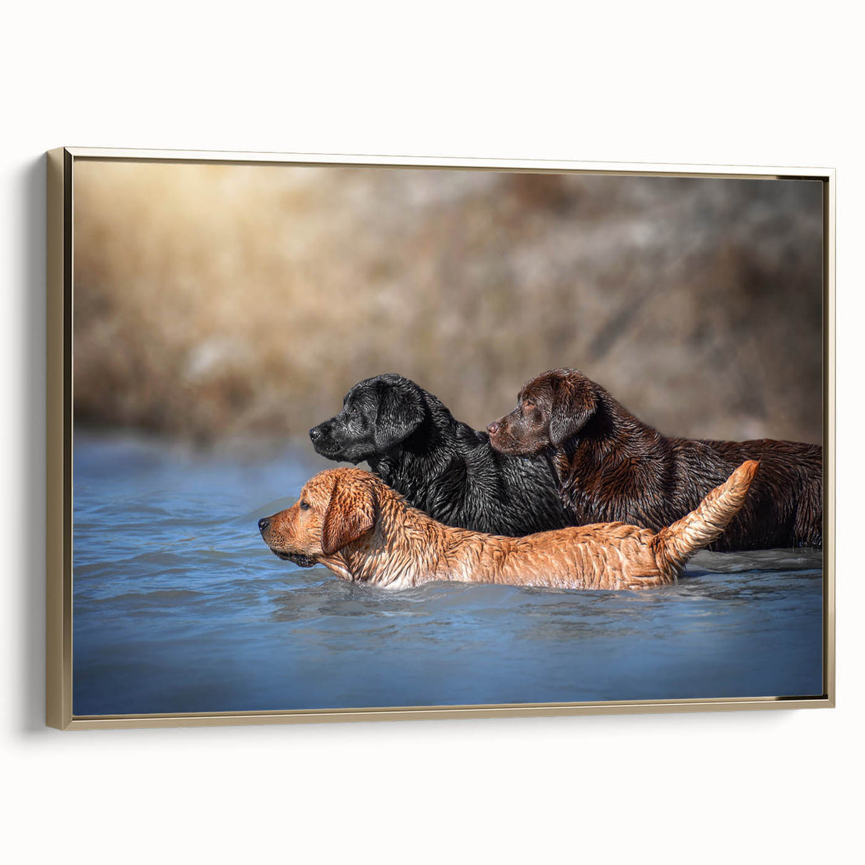 Framed canvas wall art showcasing a golden dog design from the "Animals: A Wild Life" collection, featuring a modern aesthetic and vibrant colors, perfect for pet lovers.